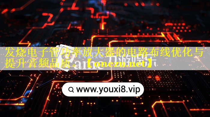 发烧电子管功率放大器的电路布线优化与提升音频品质。 发烧电子管功率放大器的电路布线优化与提升音频品质。