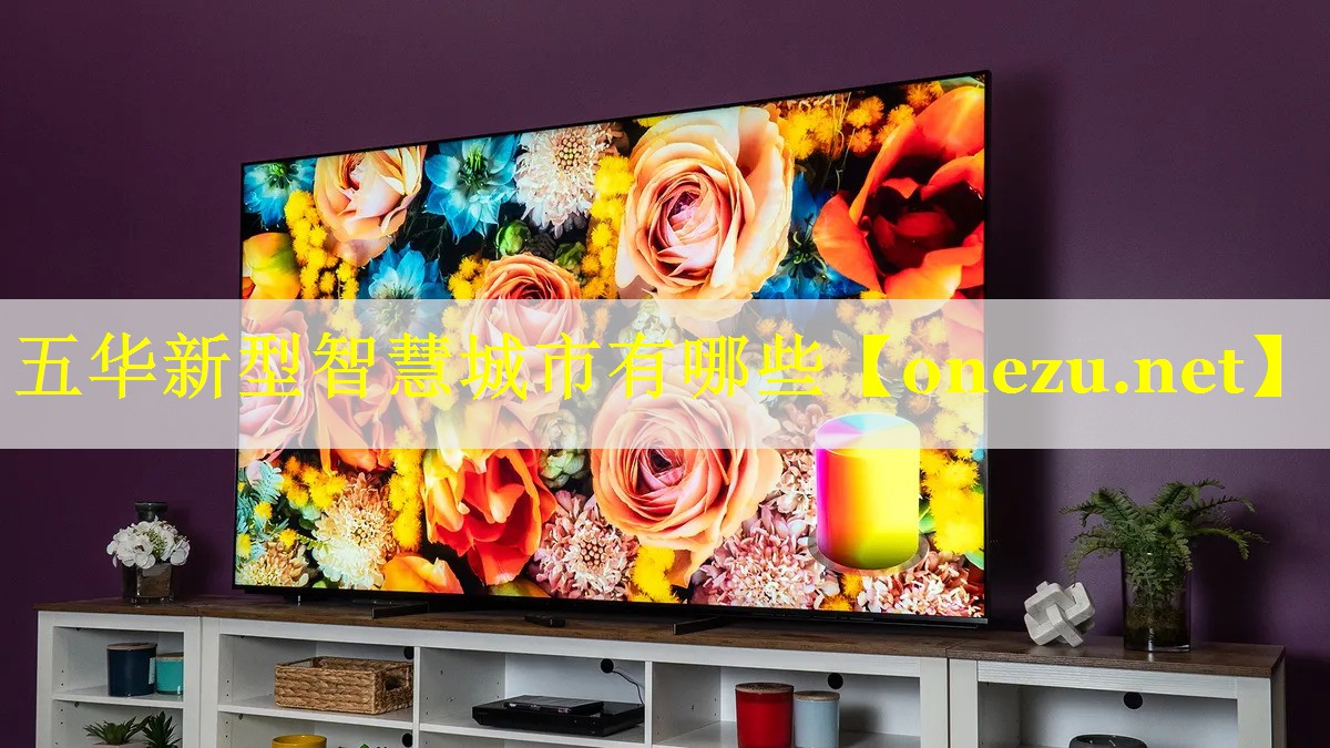 五华新型智慧城市有哪些