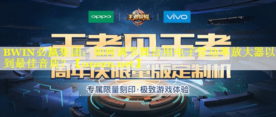 BWIN必赢集团：如何调节舞台用电子管功率放大器以达到最佳音质？