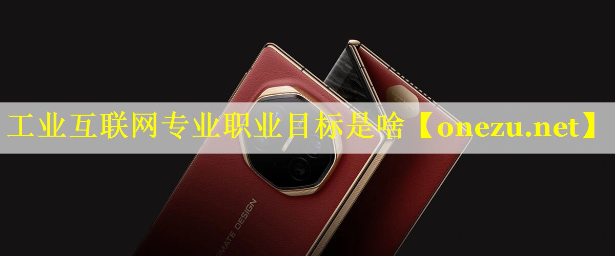 工业互联网专业职业目标是啥