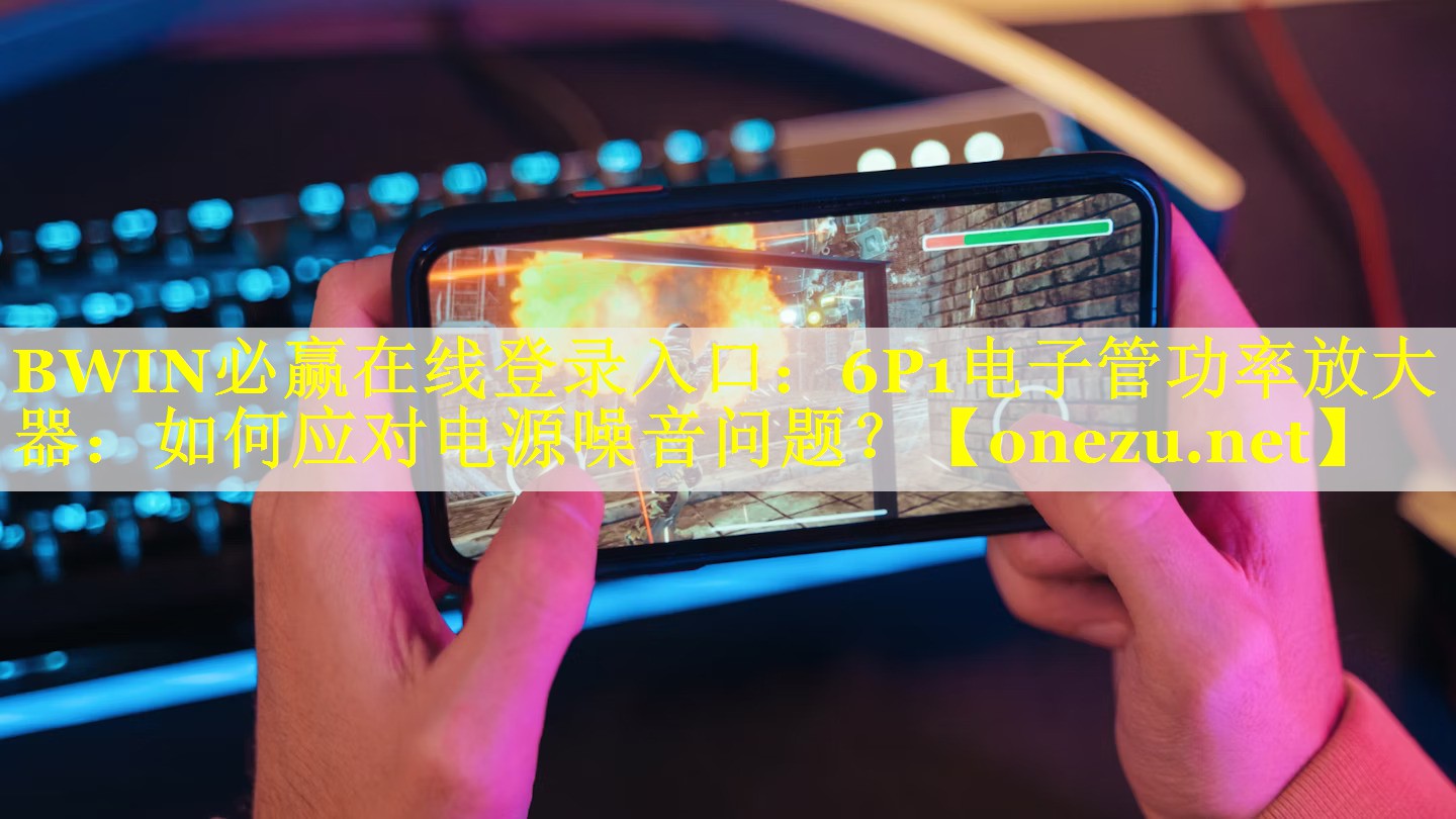 BWIN必赢在线登录入口：6P1电子管功率放大器：如何应对电源噪音问题？