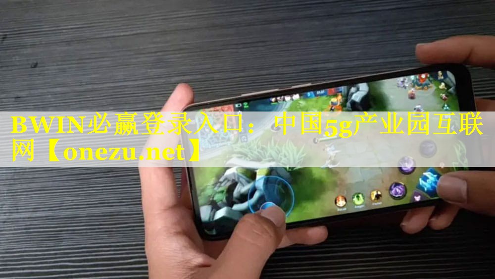 BWIN必赢登录入口：中国5g产业园互联网