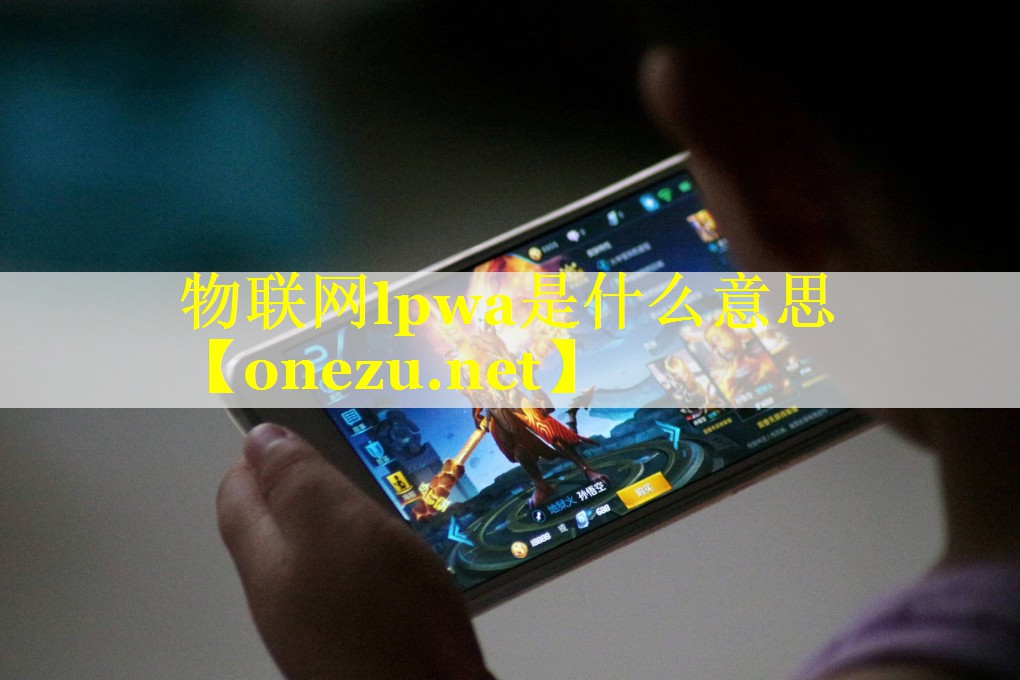 物联网lpwa是什么意思