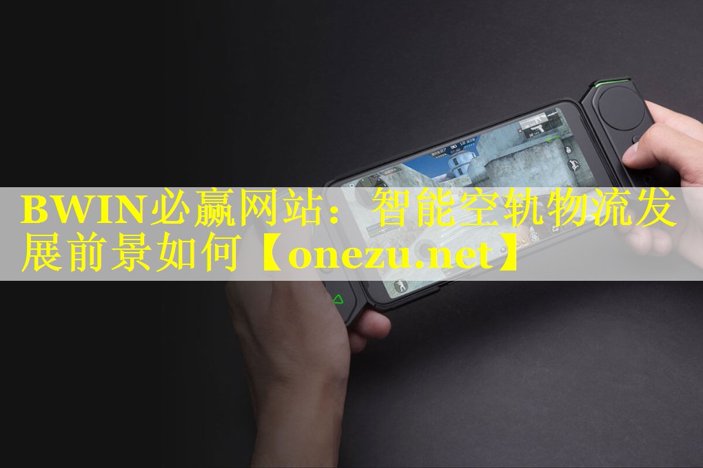 BWIN必赢网站：智能空轨物流发展前景如何
