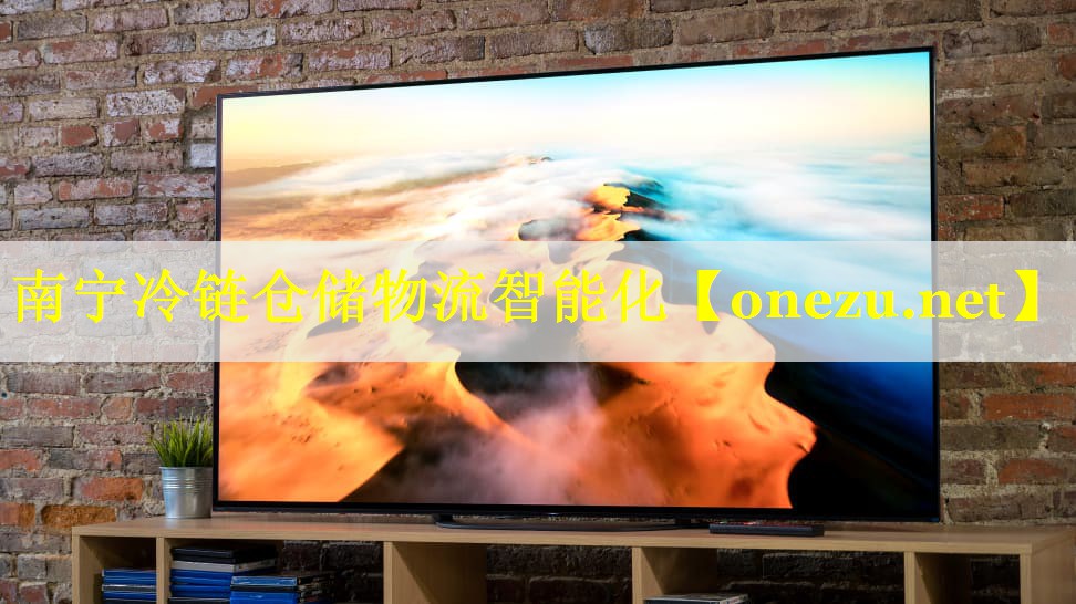 南宁冷链仓储物流智能化