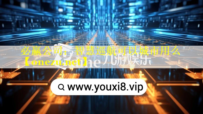 智慧巡航可以城市用么 智慧巡航可以城市用么